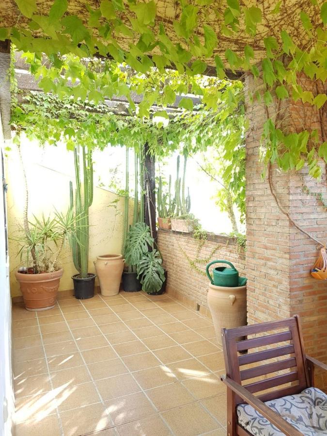 Appartement Piso En El Albaicin Alto, Junto Al Mirador De San Miguel Alto. Granada. Extérieur photo